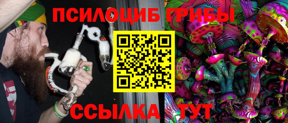 Галлюциногенные грибы Cubensis  Вход с VPN  Химки 