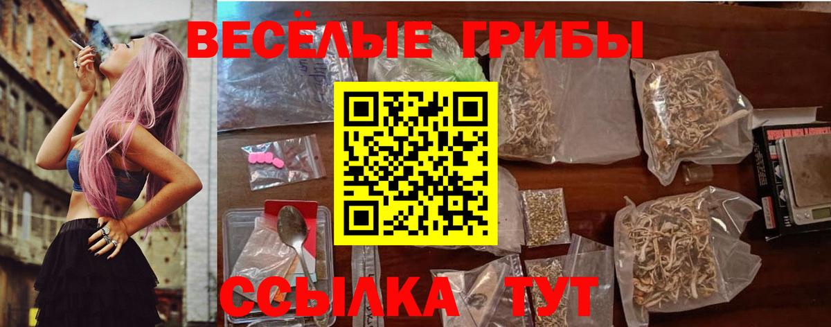 Галлюциногенные грибы Magic Shrooms Химки