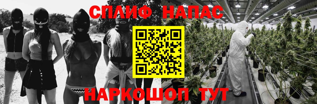 Бошки Шишки Amnesia  Бошки марихуана тримм  Химки  Вход с VPN  Канабис THC 21% 